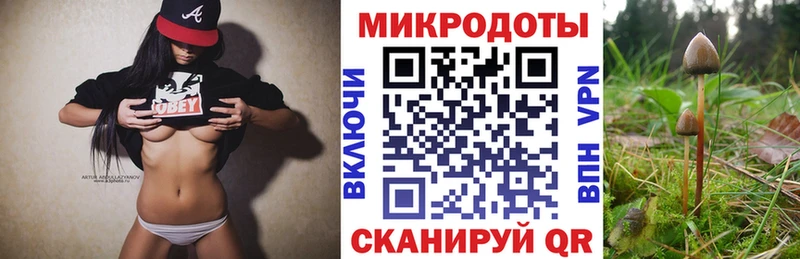 Галлюциногенные грибы Cubensis  Певек 